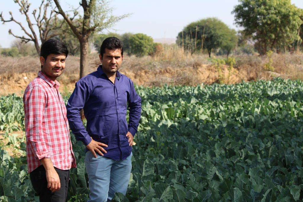 Freshokartz Agri: An E-Commerce Company for fruits and Vegetables