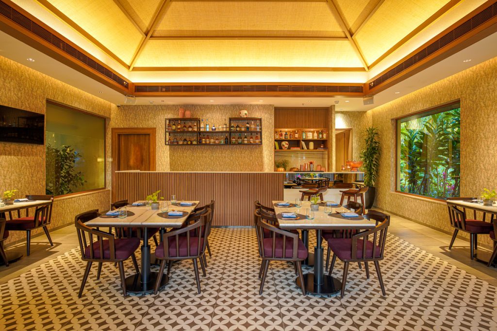 Kokoon: A New Asian Dining Experience Near Nandi Hills